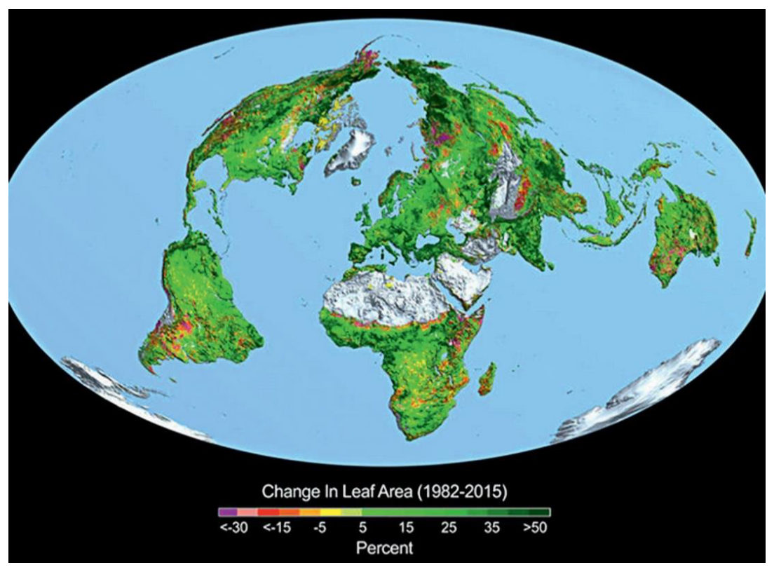 World map of the change in leaf area from 1982 to 2015. Most vegetated land is shaded green, meaning increases of 5 to more than 50 per cent; small patches show declines.