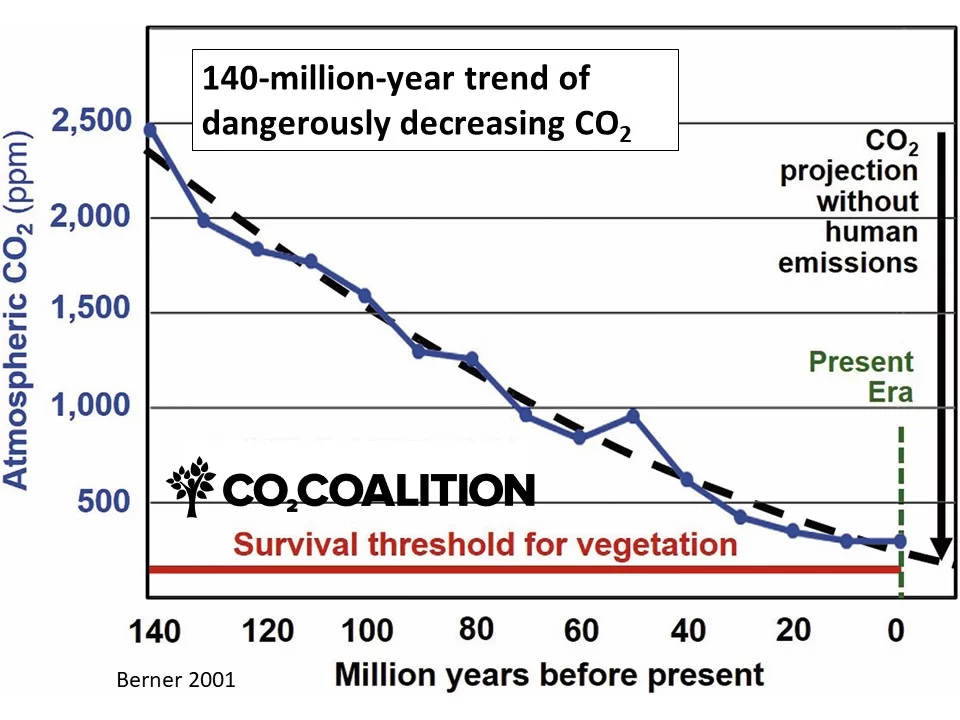 CO2 Concentration Data (5)